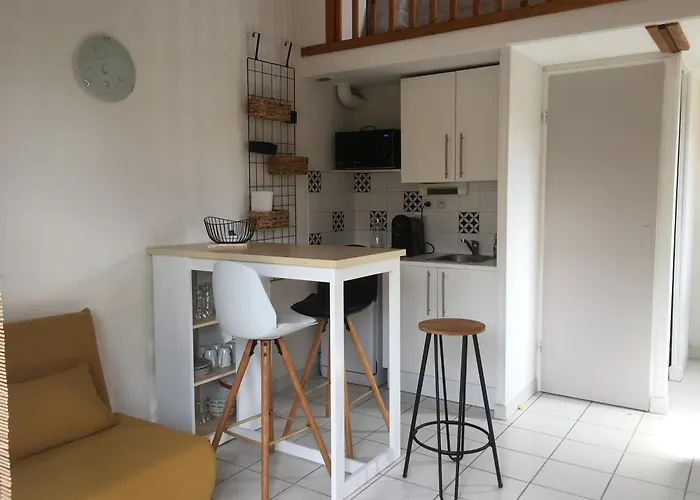 Pavillon Mezzanine Climatise Avec Petit Jardin Et Piscine Collective Appartement *
